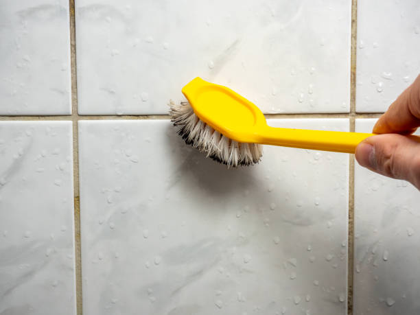 Best Preventive Mold Services in Plymouth, MI