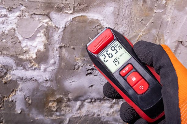 Best Kitchen Mold Remediation in Plymouth, MI