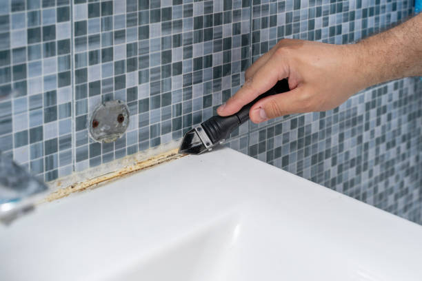 Best Mold Remediation for Specific Building Types in Plymouth, MI