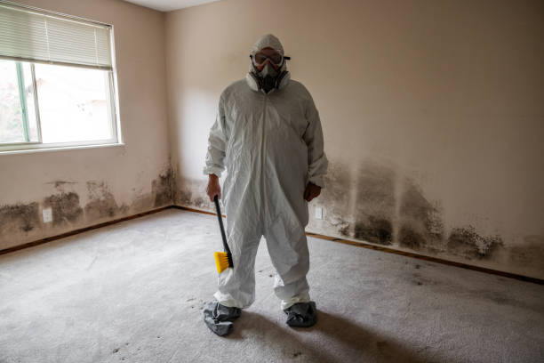 Best Bathroom Mold Remediation in Plymouth, MI